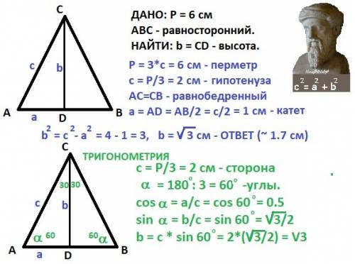 Периметр равностороннего треугольника равен 6 см. найдите высоту