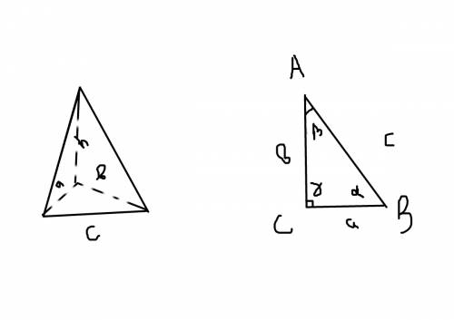 Найдите обьем пирамиды высота которой равна h а основания являться прямоугольной триугольник с гипот