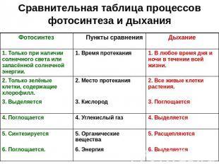 Сравнить клеточное дыхание с пластическим обменом