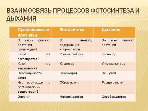 Сравнить клеточное дыхание с пластическим обменом