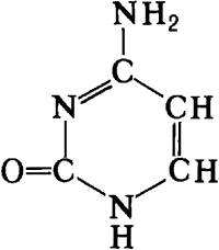 Составьте схему строение цитозинового нуклеотида рнк