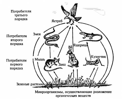 Схема цепей питания в луговом подскажите где найти и что это?