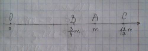 На координатном луче отмечена точка а m отметьте на этом луче точки b(3/4m) и c(1 1/3m)