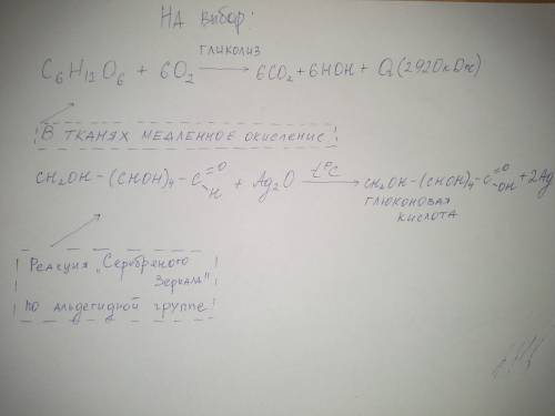 Окисление глюкозы наблюдается при действии на нее: 1)водорода 2)кислорода 3) гидрироксида меди 4)окс