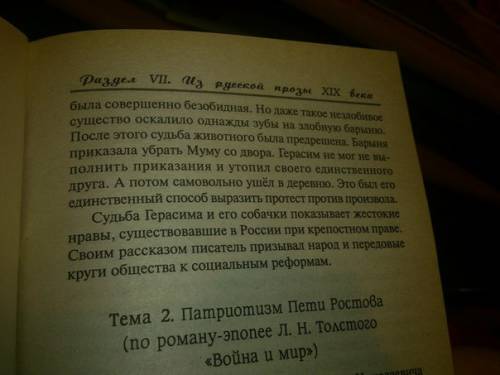 Сочинение рассуждение му му по плану тезис доказательство вывод 100