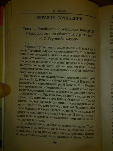 Сочинение рассуждение му му по плану тезис доказательство вывод 100