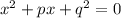 x^{2}+px+q^{2}=0