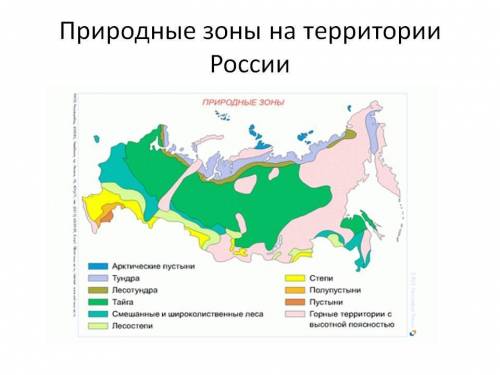 Каким цветом обозначают степи на карте природных зон?