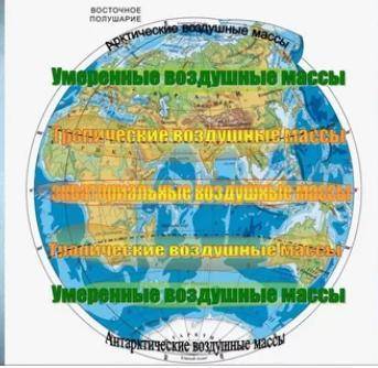 Какая воздушная масса у умеренного пояса?