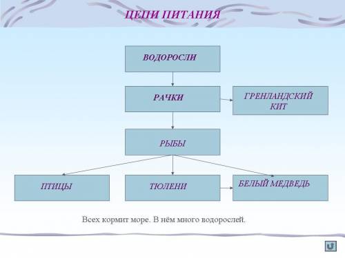 Составить простые цепи питания для арктической пустыни, тундры и тайги.