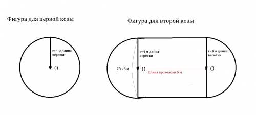 На лугу пасется коза,привязанная верёвкой к колышку.какая фигура ограничивает участок,на котором мож