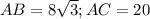 AB=8\sqrt{3} ; AC=20