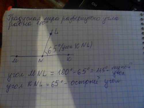 1. начертите развернутый угол mnk и проведите луч nl так, чтобы knl=65 (градусов).определите величин