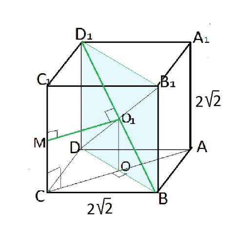 Вкубе abcda1b1c1d1 длина ребра равна 2 корня из 2 найди расстояние между прямыми сс1 и bd1