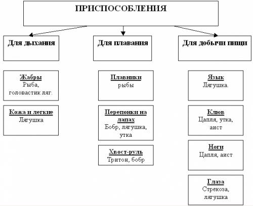 Сделайте таблицу по биологии 9 класс 1.виды при примеры кто сколько может