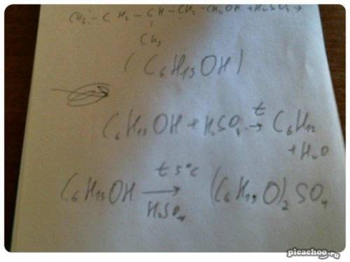 Ch3-ch2-chch3-ch2-ch2oh+h2so4 = кто знает решение؟