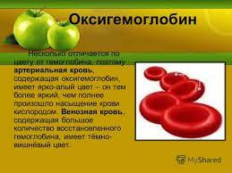 25 чем отличается гемоглобин от оксигемоглобина понятнее, т.к это нужно для подготовки к к\р