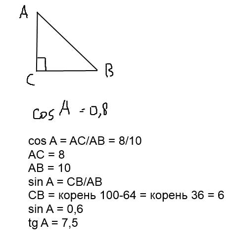 Втреугольнике abc угол c 90, соsa=0,8. найдите tga