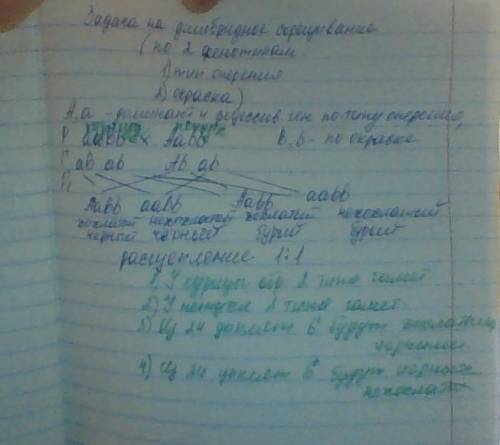 Укур хохлатость (а) - доминантный признак , а черная окраска оперения (в) доминирует над бурой.скрещ