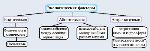 Какие экологические факторы влияют на жизнь организмов в природе?