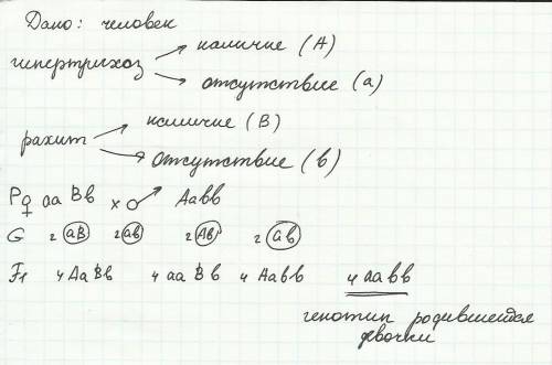 Решите : мужщина с гипертрихозом женился на женщинес рахитом, обусловленым недостаьком фосфора в кро