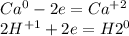 Ca^{0}-2e= Ca^{+2} \\ 2H^{+1}+2e= H2^{0}