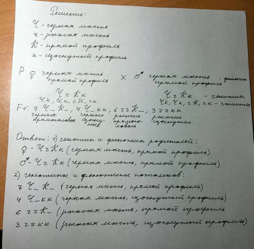 Усвиней черная масть (ген ч) доминирует над рыжей (ген ч), прямой профиль головы (ген к) - над