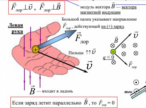 9класс. каким можно определить,направление силы действующей на проводник с током?