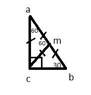 Впрямоугольном треугольнике авс угол в равен 30°. вершина прямого угла с соединена отрезком с точкой