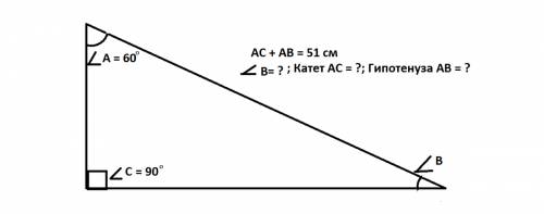 Впрямоугольном треугольнике угол с - прямой, угол а - 60 градусов, сумма сторон ас и ав равна 51 см.