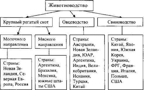 Составьте систематизирующую таблицу «распространение главных отраслей животноводства» по следующей ф