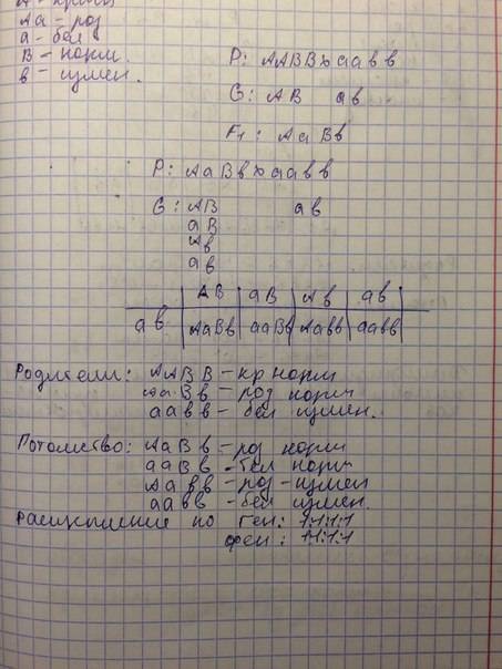 Моно- и дигибридное скрещивание. составить по 2 генетических (условие + решение) на использование за