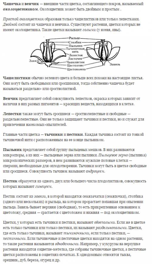 Признаки растений.органы цветковых растений.поставил 50 .