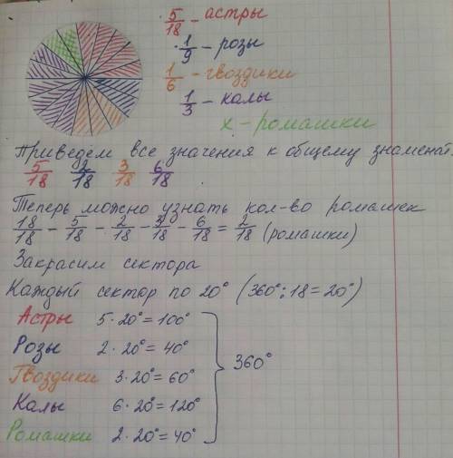 Астры-5/18 розы-1/9 гвоздики-1/6 всего-1-360 градусов. калы-1/3 ромашки-? остальное.