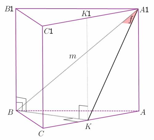 Вправильной треугольной призме диагональ боковой грани равна m и составляет со смежной боковой грань
