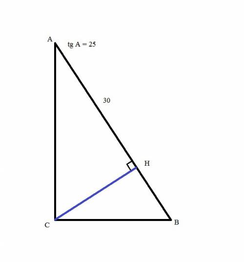 Втреугольнике авс угол с равен 90 градусов сн-высота ан=30. tgа=25 найдите вс