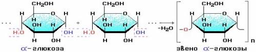 Укажіть , у результаті якої реакції утворюються макромолекули крохмалю : а) полімерізації, б) окисле