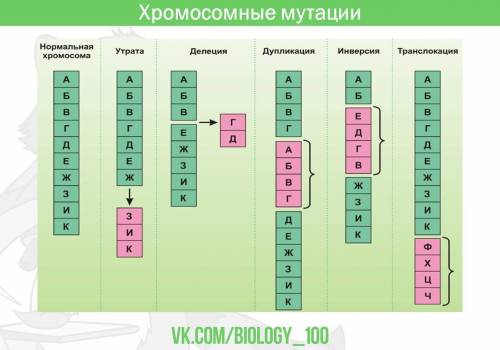 Какие виды мутаций вы знаете и каково их биологическое и практическое знаачение