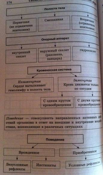 Строение тела животных.особенности животных; ткани,органы и системы органы.организм как целостная си