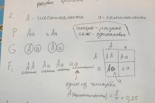 Желательно подробно! ) 1)красный цвет ягод земляники определяется геном неполного доминирования. по