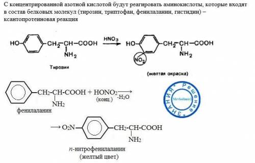 Нужно уравнение реакции: белок+азотная кислота (конц).зарание
