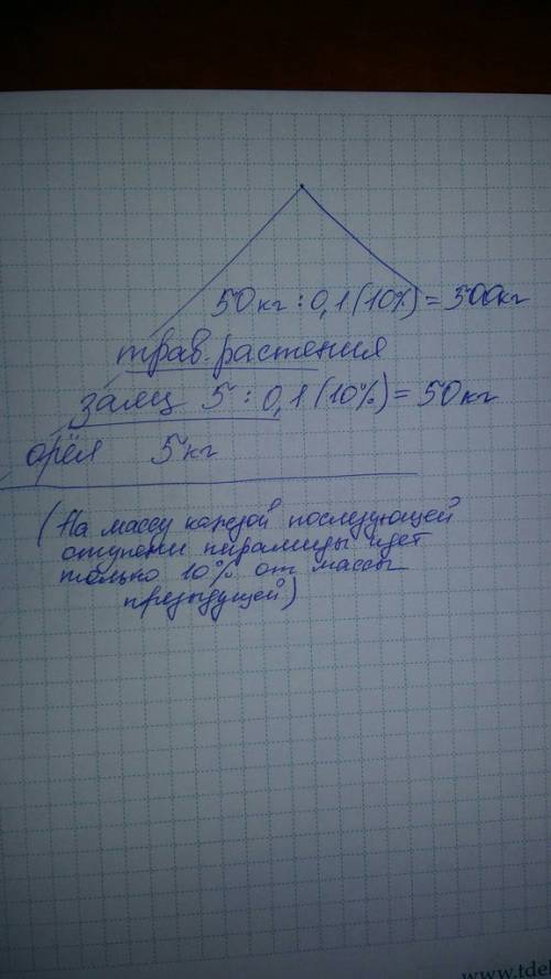 Зная правило 10%, рассчитайте, сколько нужно травы, чтобы вырос один орел массой 5 кг.(пищевая цепь: