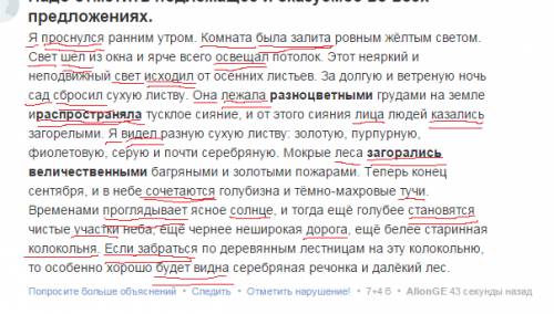 Надо отметить подлежащее и сказуемое во всех предложениях. я проснулся ранним утром. комната была за