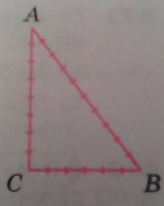 Составьте всевозможные отношения сторон треугольника авс и вычислите их.(все маленькие отрезки равны