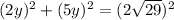 (2y)^{2}+(5y)^{2}=(2 \sqrt{29})^{2}