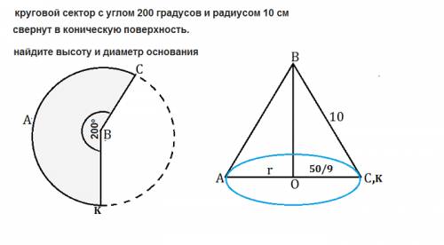 Круговой сектор с углом 200 градусов и радиусом 10 см свернут в коническую поверхность. найдите высо