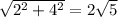 \sqrt{2^2 + 4^2} = 2 \sqrt{5}