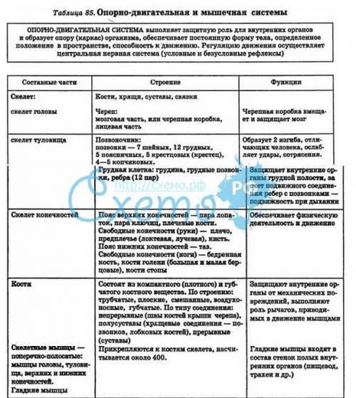 Нужна таблица по биологии,изучаем анатомию. отдел скелета.особенности строения. функции.