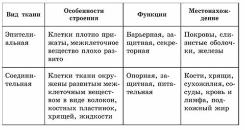 Запобните таблицу: разновидности мышечной ткани