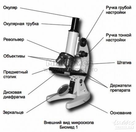 Функции частей микроскопа 1) регулирует освещение микропрепарата 2) позволяет изменять расстояние ме